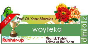 World_Polski__Editor_of_the_Year_runnerup