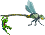 [Dragonfly_Mozilla]