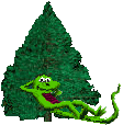[Fir Tree Mozilla]