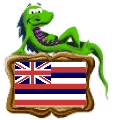 [Hawaii_Flag_Mozilla]