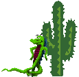 [Saguaro Cactus Mozilla]