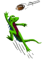 [American Football Mozilla]