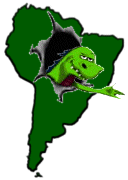 [South American Mozzie]